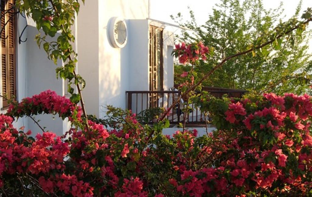 Being Villa Plymouth Esterno foto